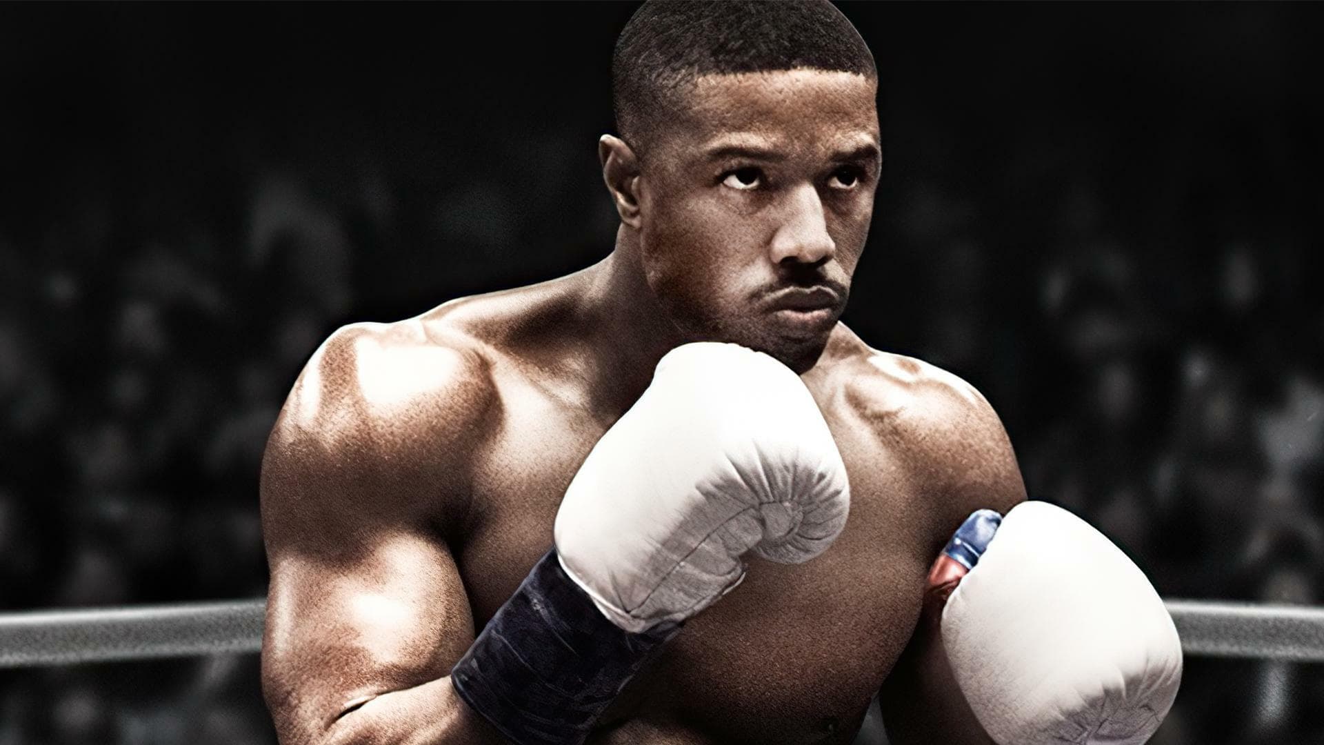 Creed: Rise to Glory – Championship Edition